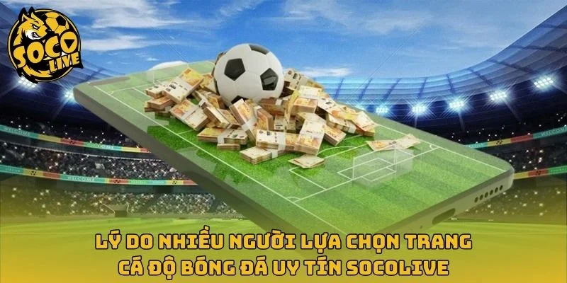 Lý do nhiều người lựa chọn trang cá độ bóng đá uy tín Socolive
