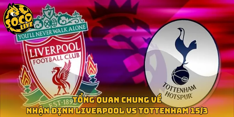 Tổng quan chung về nhận định Liverpool vs Tottenham 15/3
