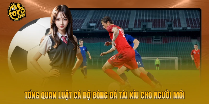 Tổng quan luật cá độ bóng đá tài xỉu cho người mới