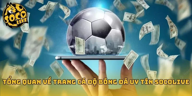 Tổng quan về trang cá độ bóng đá uy tín Socolive