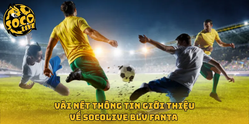 Vài nét thông tin giới thiệu về Socolive BLV Fanta 